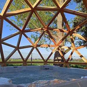 Hébergement de vacances De Charme Et Pres D'albi , Au Mas De Bel Air, Arthes